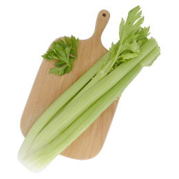 砧板上的芹菜白底图
