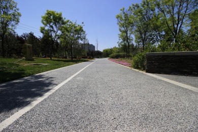 中国北京海淀公园夏天的绿