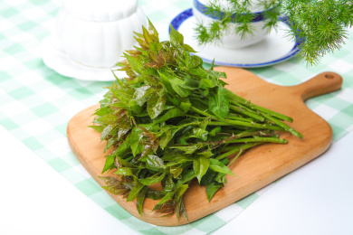 云南野菜刺五加 刺五加