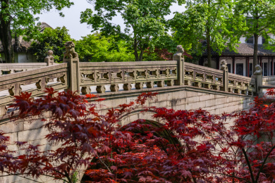 江苏省苏州市虎丘风景区