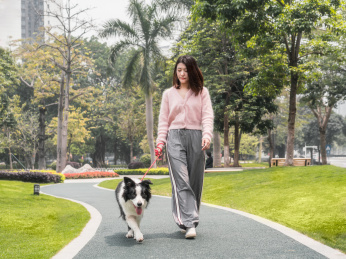 女孩牵着狗狗在公园里散步