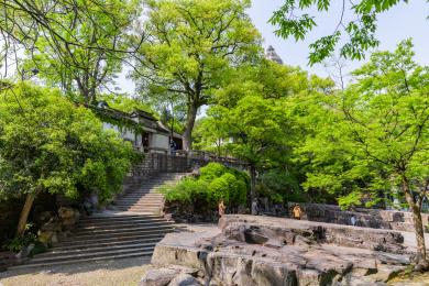 江苏省苏州市虎丘风景区
