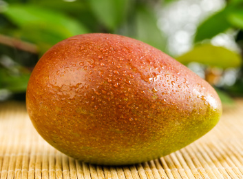 竹垫子上放着一个海南贵妃芒果