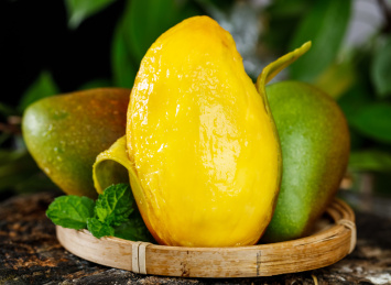 石底上放着一筐海南贵妃芒果和芒果果肉