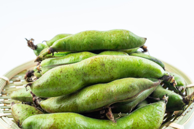 白背景上一盆新鲜蚕豆荚 