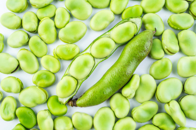 满屏绿色的新鲜蚕豆