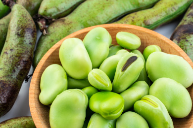 白背景上新鲜蚕豆荚和蚕豆