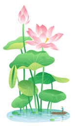 一个人在荷花荷叶下划船