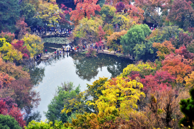 中国苏州天平山太湖深秋红叶