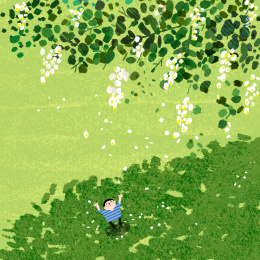 五一假期槐花香