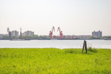 上海市闵行区黄浦江畔的建筑景观