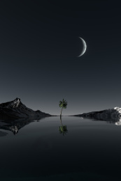 三维渲染月光下的椰子树与湖泊场景