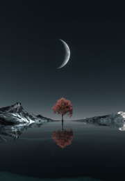 三维渲染月光下的湖泊与红枫超现实场景