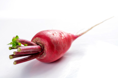 夏季蔬菜水萝卜红萝卜特写