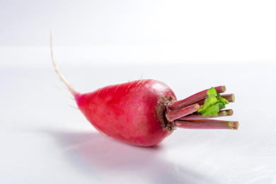 夏季蔬菜水萝卜红萝卜特写