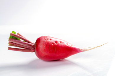 夏季蔬菜水萝卜红萝卜特写