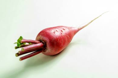 夏季蔬菜水萝卜