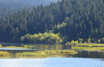 香格里拉普达措国家公园属都湖风光