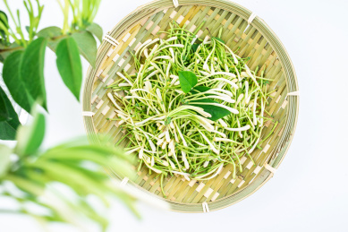 白背景上竹筛子装满新鲜野生金银花