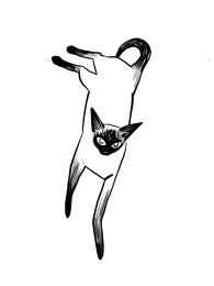 跳跃的暹罗猫插图手绘