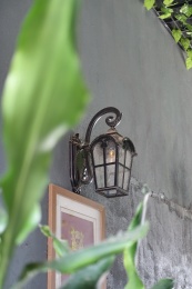 绿植与灯