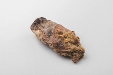 白色桌面上放着一块冻干鸡肝块