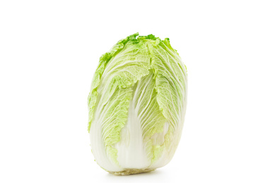 一颗白菜单独放在白色背景前