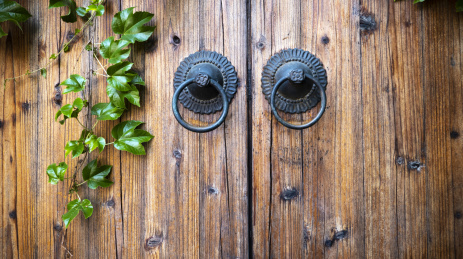 老屋木门 小品 老墙门