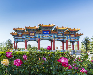 春夏之交蓝天下北京南海子公园