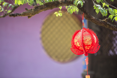 一只挂在树上的红色灯笼