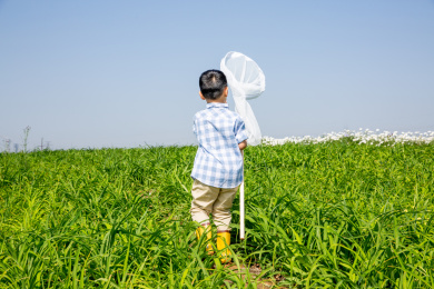 夏天上午男孩在户外捉蝴蝶