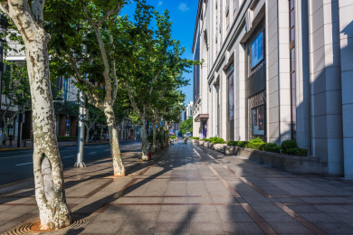 上海市城市风光