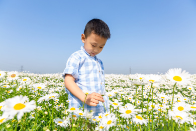 夏天男孩在郊外花海玩耍