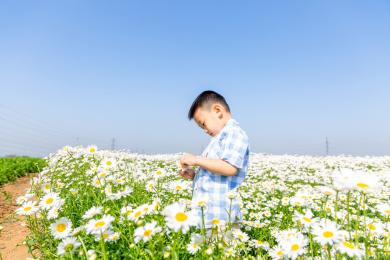 夏天男孩在郊外花海玩耍