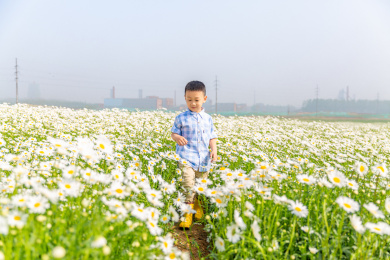 夏天男孩在郊外花海玩耍