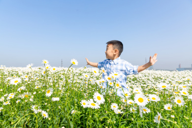 夏天男孩在郊外花海玩耍