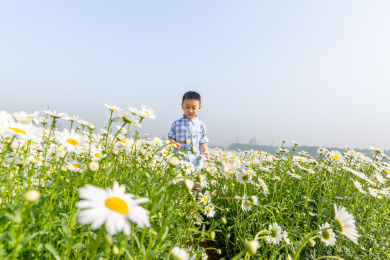 夏天男孩在郊外花海玩耍