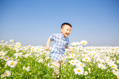 夏天男孩在郊外花海玩耍