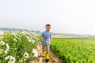 夏天男孩在郊外花海玩耍
