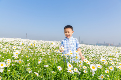 夏天男孩在郊外花海玩耍