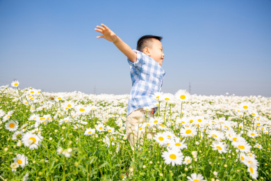 夏天男孩在郊外花海玩耍