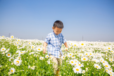 夏天男孩在郊外花海玩耍