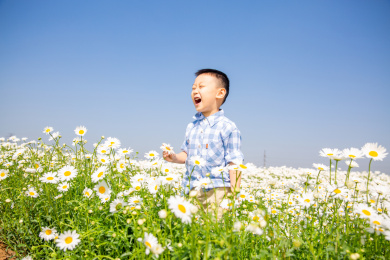 夏天男孩在郊外花海玩耍