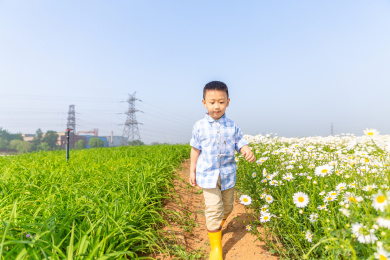 夏天男孩在郊外花海玩耍