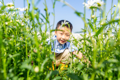 夏天男孩在郊外花海玩耍