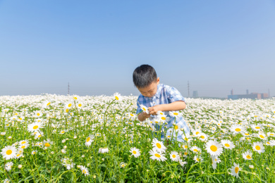 夏天男孩在郊外花海玩耍