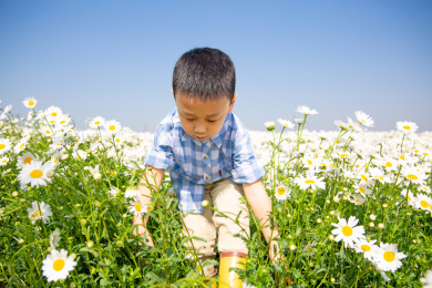 夏天男孩在郊外花海玩耍