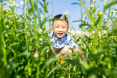 夏天男孩在郊外花海玩耍