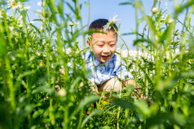 夏天男孩在郊外花海玩耍