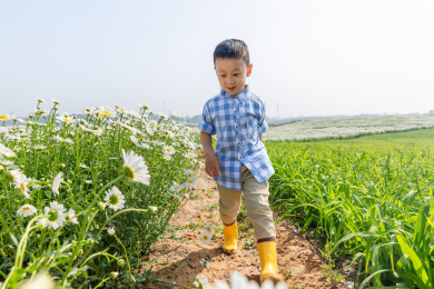 夏天男孩在郊外花海玩耍